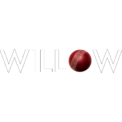 Willow Cricket